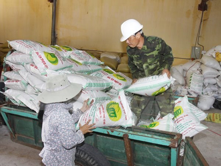 Bốc xếp, vận chuyển giống lúa tại kho để cung ứng cho các địa phương tại Quảng Trị.